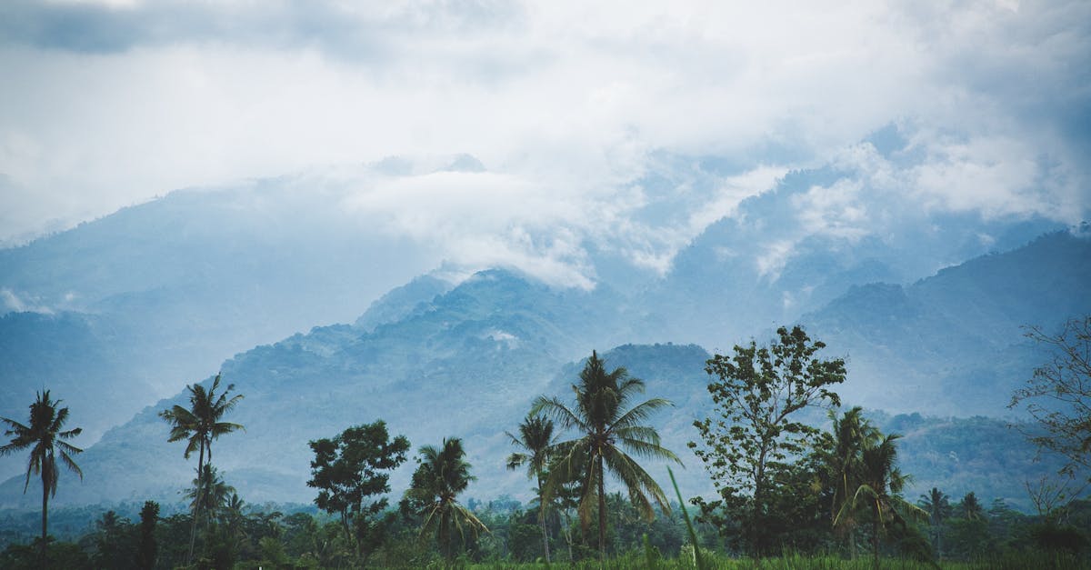 découvrez les enjeux et les évolutions des actions en justice liées au changement climatique, un domaine clé pour la protection de l'environnement et la responsabilité des acteurs.