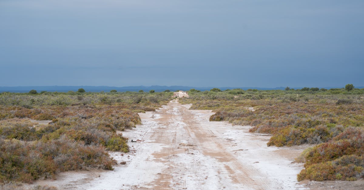 découvrez les négociations climatiques, un processus crucial où les pays du monde entier s'unissent pour lutter contre le changement climatique. explorez les enjeux, les objectifs et les résultats des discussions internationales visant à assurer un avenir durable pour notre planète.
