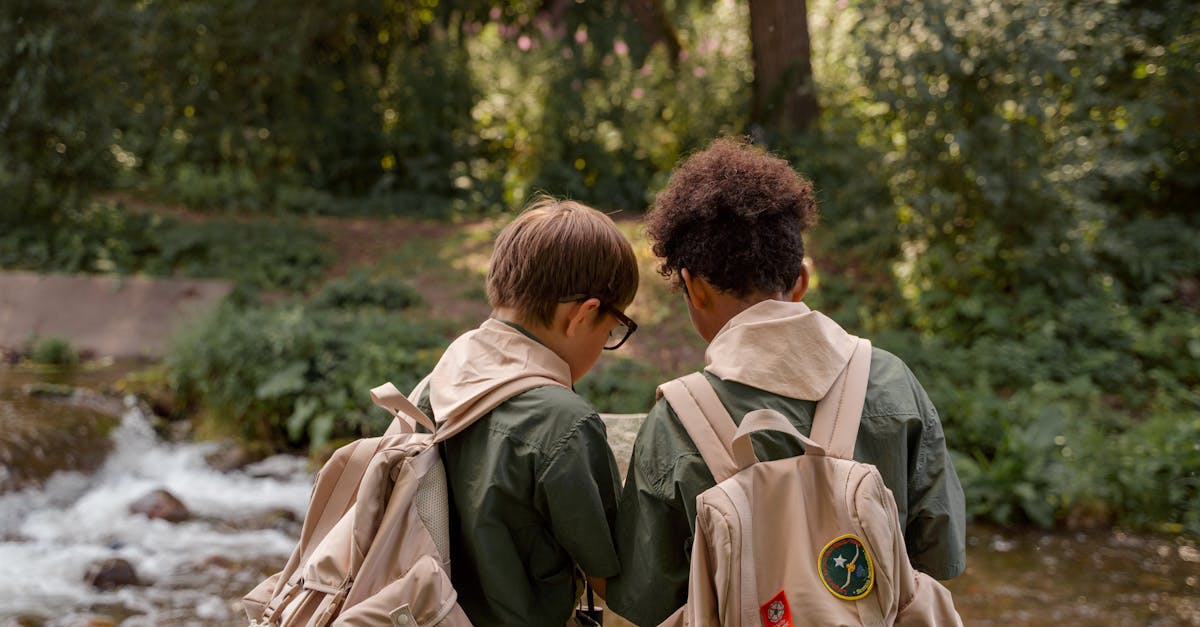 découvrez l'éducation à la transition écologique pour comprendre les enjeux environnementaux et agir pour un avenir durable.