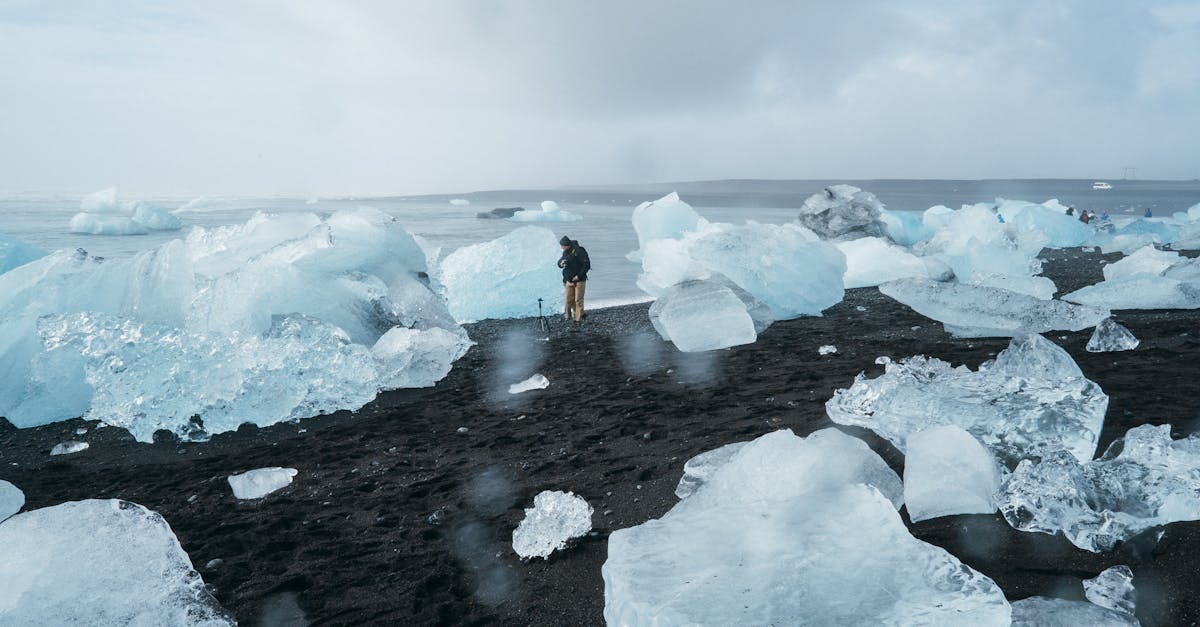 découvrez les causes, impacts et solutions du changement climatique pour mieux comprendre comment préserver notre planète.