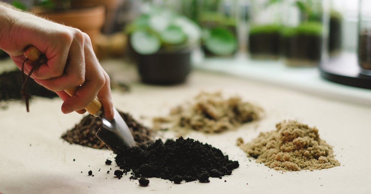 découvrez comment le compostage transforme vos déchets organiques en un engrais naturel bénéfique pour votre jardin, tout en réduisant votre impact environnemental.