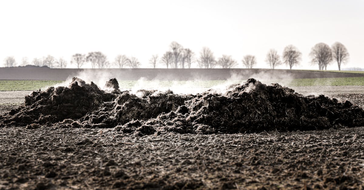 découvrez comment les politiques environnementales façonnent notre avenir durable. explorez les stratégies et mesures mises en place pour protéger notre planète et promouvoir un développement responsable.