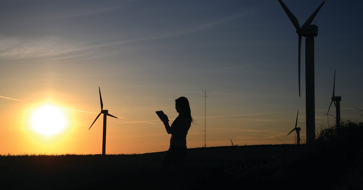 découvrez l'importance de la durabilité dans notre monde contemporain. explorez des pratiques et des solutions pour un avenir plus responsable, respectueux de l'environnement et économiquement viable. engagez-vous pour un changement positif et inspirez-vous des innovations en matière de durabilité.