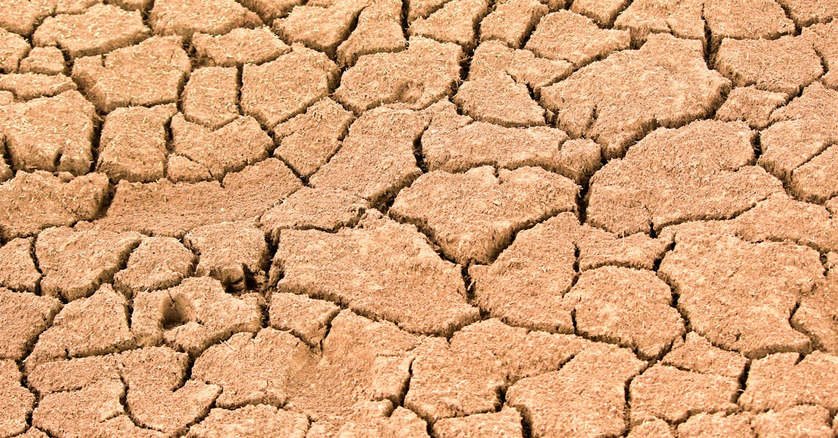 découvrez les causes, les impacts et les solutions liées au changement climatique pour mieux comprendre et agir face à cet enjeu crucial de notre planète.