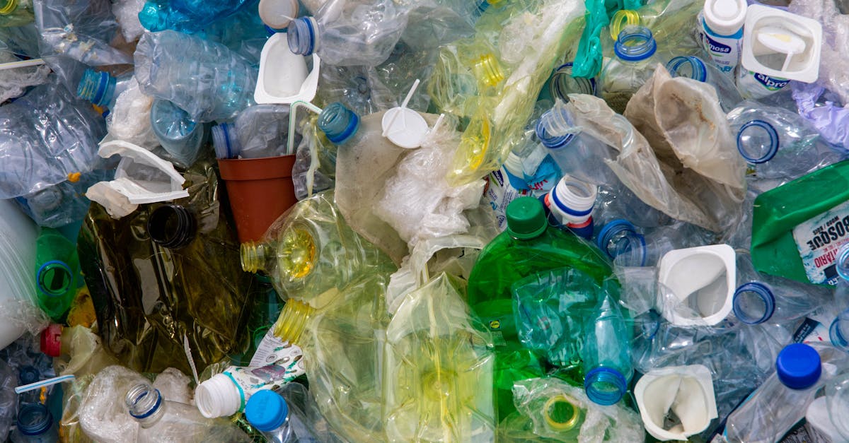 découvrez l'importance du recyclage pour notre planète et apprenez comment participer à cette initiative écologique. informez-vous sur les différentes méthodes de recyclage, les matériaux recyclables et les bienfaits que cela apporte à l'environnement.