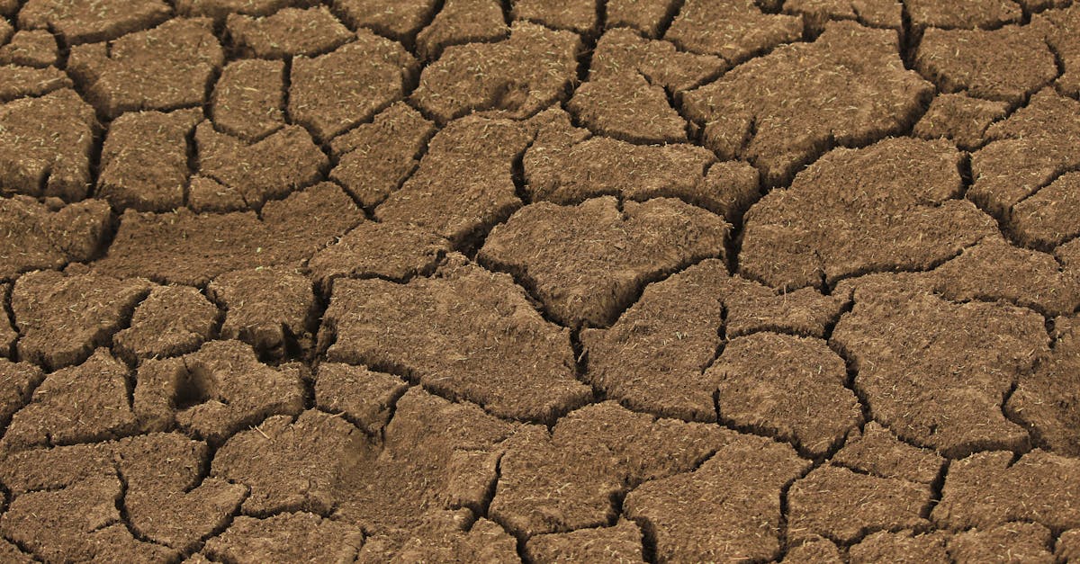 découvrez les impacts du changement climatique, ses causes et les solutions pour préserver notre planète face aux défis environnementaux actuels.