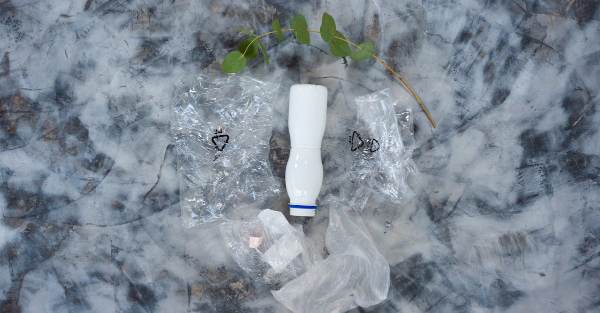 découvrez l'innovation éco-responsable, alliant progrès technologique et respect de l'environnement pour un avenir durable.