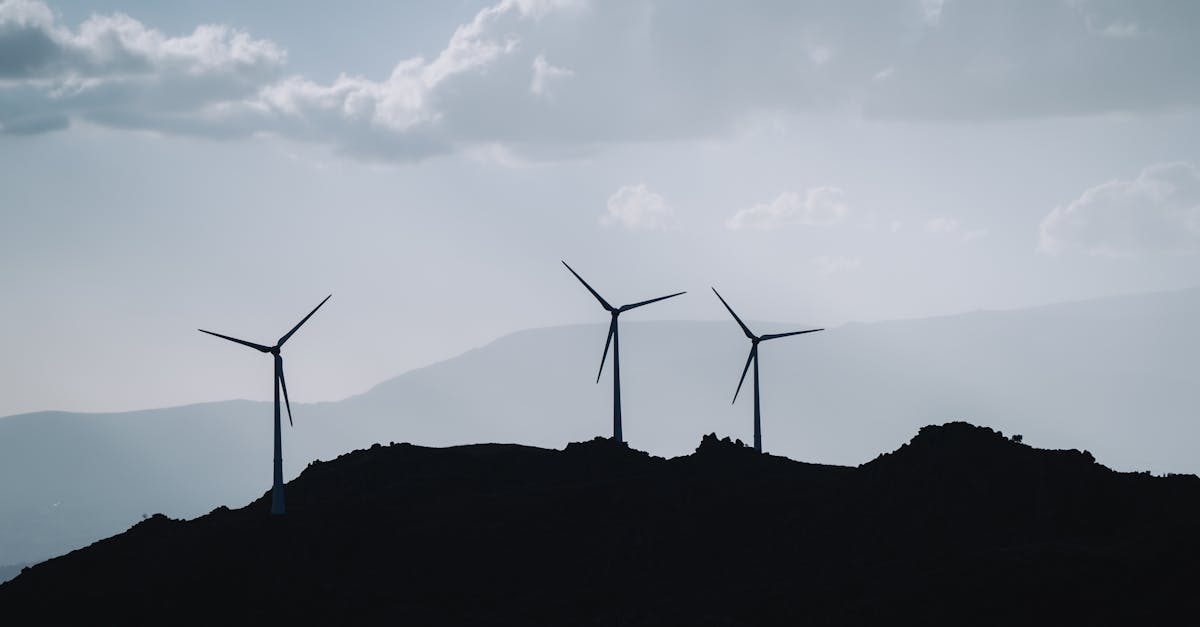 découvrez comment le développement durable façonne un avenir prospère et équilibré. explorez des stratégies innovantes pour préserver notre planète tout en favorisant l'économie et le bien-être social. engagez-vous dès aujourd'hui pour un monde meilleur.