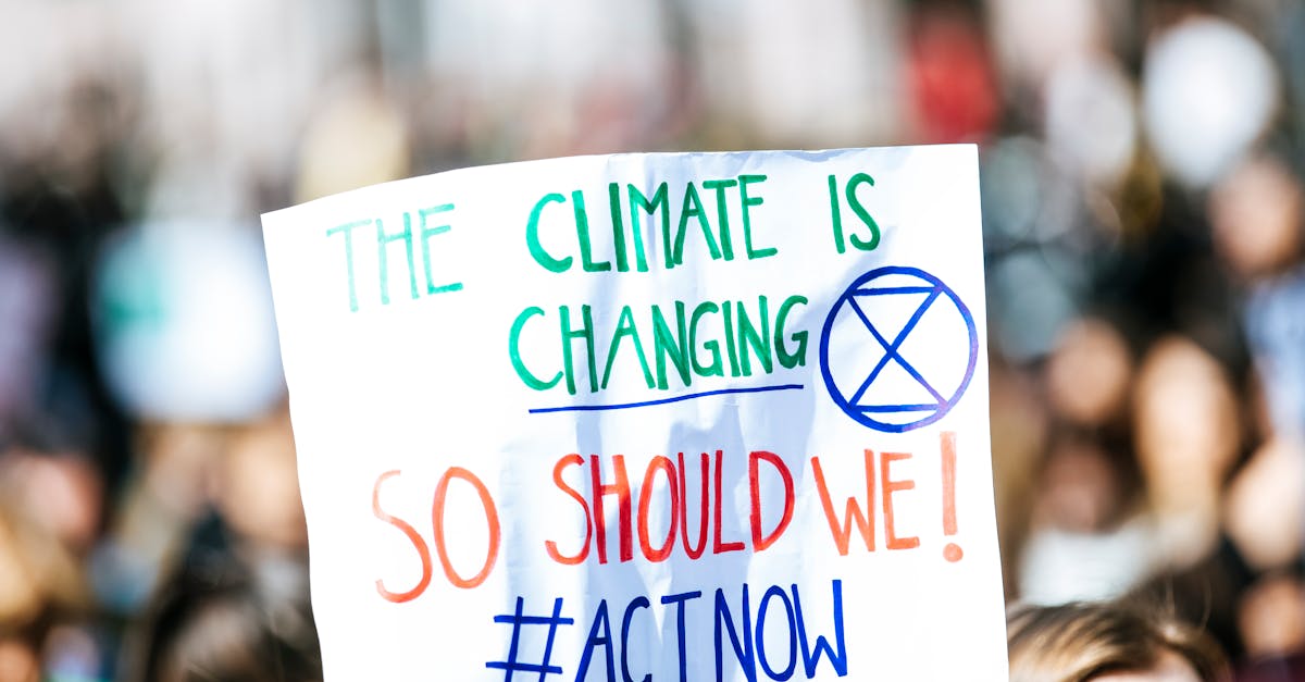 découvrez l'impact du changement climatique sur notre planète et les actions nécessaires pour préserver notre environnement. explorez les enjeux, les causes et les solutions pour un avenir durable.