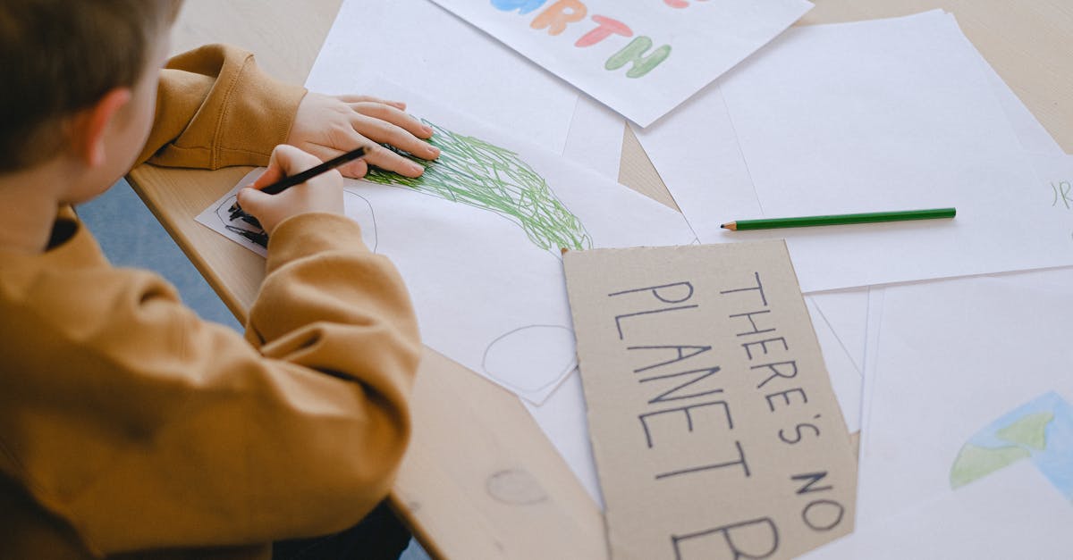 découvrez des ressources et des stratégies innovantes pour l'éducation au changement climatique, sensibilisant toutes les générations à l'impact environnemental et aux solutions durables.