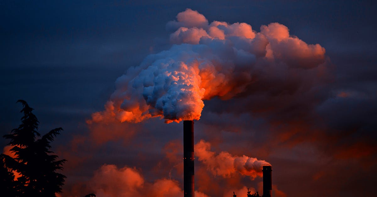 découvrez l'impact environnemental des activités humaines, les défis écologiques actuels, et les solutions durables pour préserver notre planète. explorez les enjeux liés à la pollution, le changement climatique et la biodiversité. engagez-vous pour un avenir plus vert.