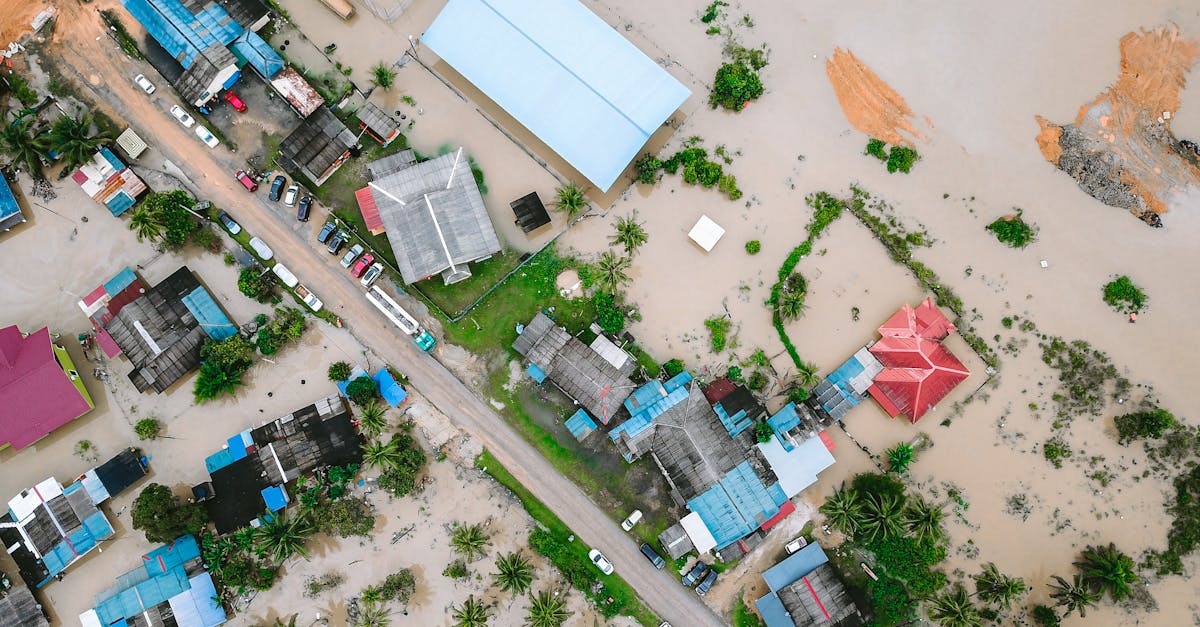 découvrez comment renforcer la résilience climatique pour protéger les communautés et l'environnement face aux défis du changement climatique.