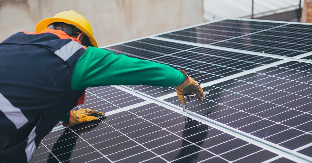 découvrez comment adopter des pratiques durables pour construire un avenir respectueux de l'environnement, favoriser l'économie verte et préserver les ressources naturelles pour les générations futures.