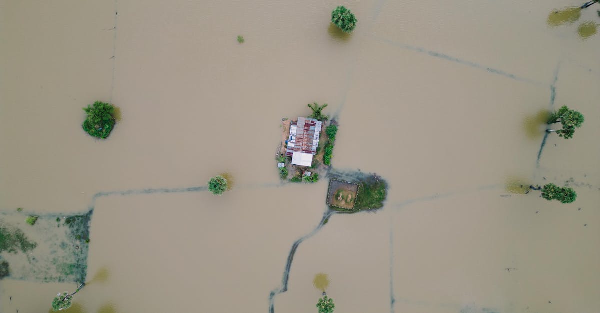 découvrez comment renforcer la résilience climatique pour mieux anticiper, s'adapter et atténuer les impacts des changements climatiques sur les communautés et les écosystèmes.