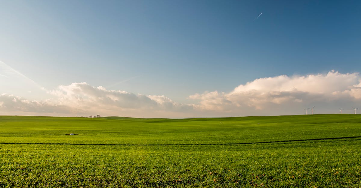 découvrez les avantages de l'énergie verte : une source d'énergie durable, propre et respectueuse de l'environnement pour un avenir meilleur.