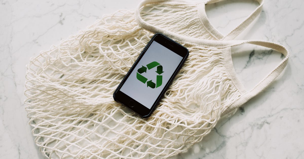 découvrez nos solutions et initiatives pour promouvoir la durabilité et protéger notre environnement pour les générations futures.