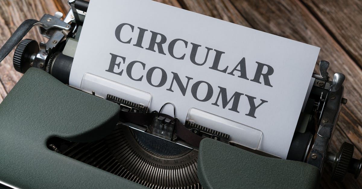 découvrez nos initiatives et solutions pour un développement durable, alliant respect de l'environnement, responsabilité sociale et innovation pour un avenir meilleur.