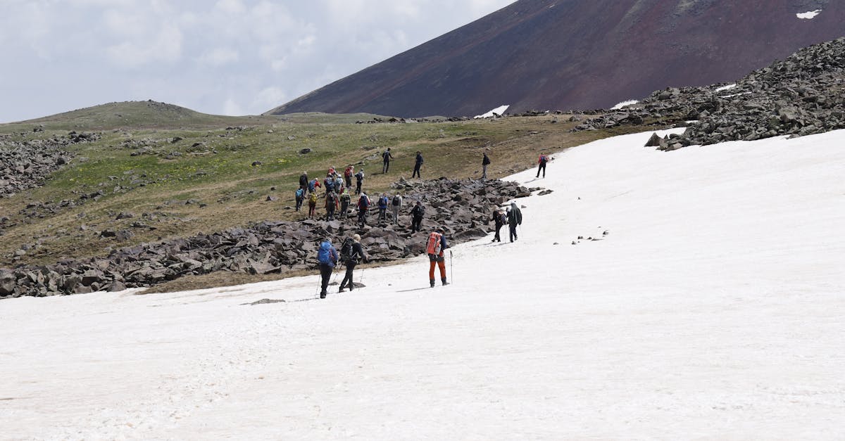 découvrez les principaux défis environnementaux actuels et les solutions pour préserver notre planète face au changement climatique, à la pollution et à la perte de biodiversité.