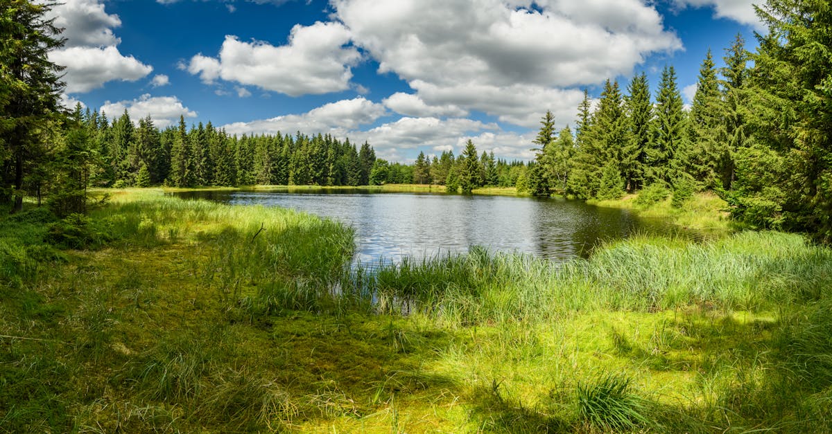 découvrez g7 environment, expert en gestion durable de l'environnement et solutions écologiques innovantes pour un avenir responsable.