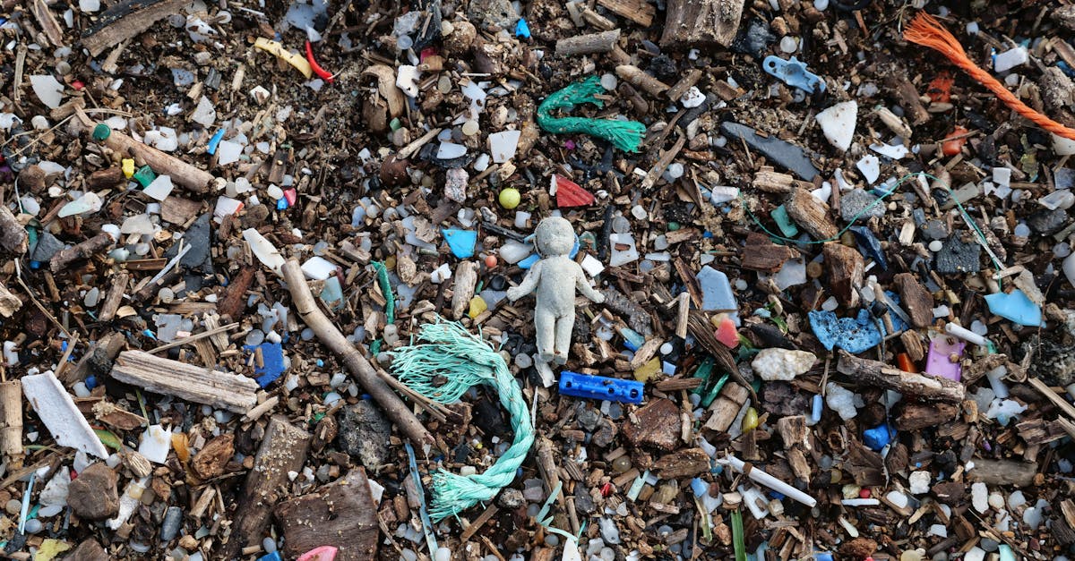 découvrez le monde des microplastiques, ces particules polluantes présentes dans notre environnement. apprenez comment elles affectent la faune, la flore et la santé humaine, ainsi que les solutions pour réduire leur impact sur notre planète.