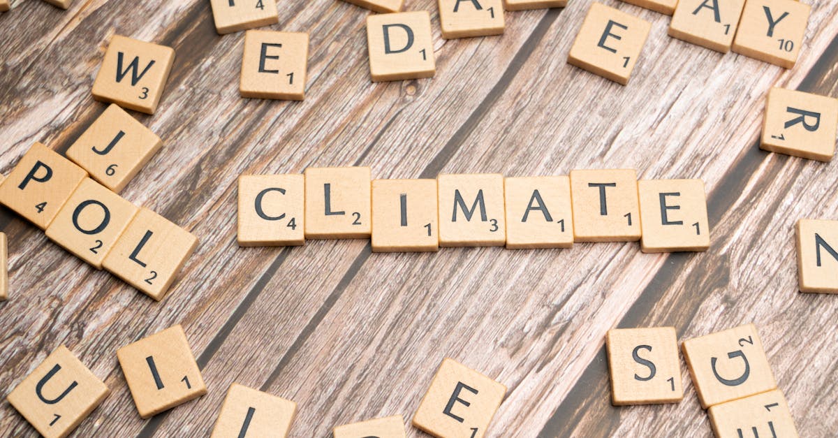 découvrez climate games, une plateforme ludique proposant des jeux interactifs pour sensibiliser et agir face au changement climatique. défiez vos amis tout en apprenant à protéger la planète !