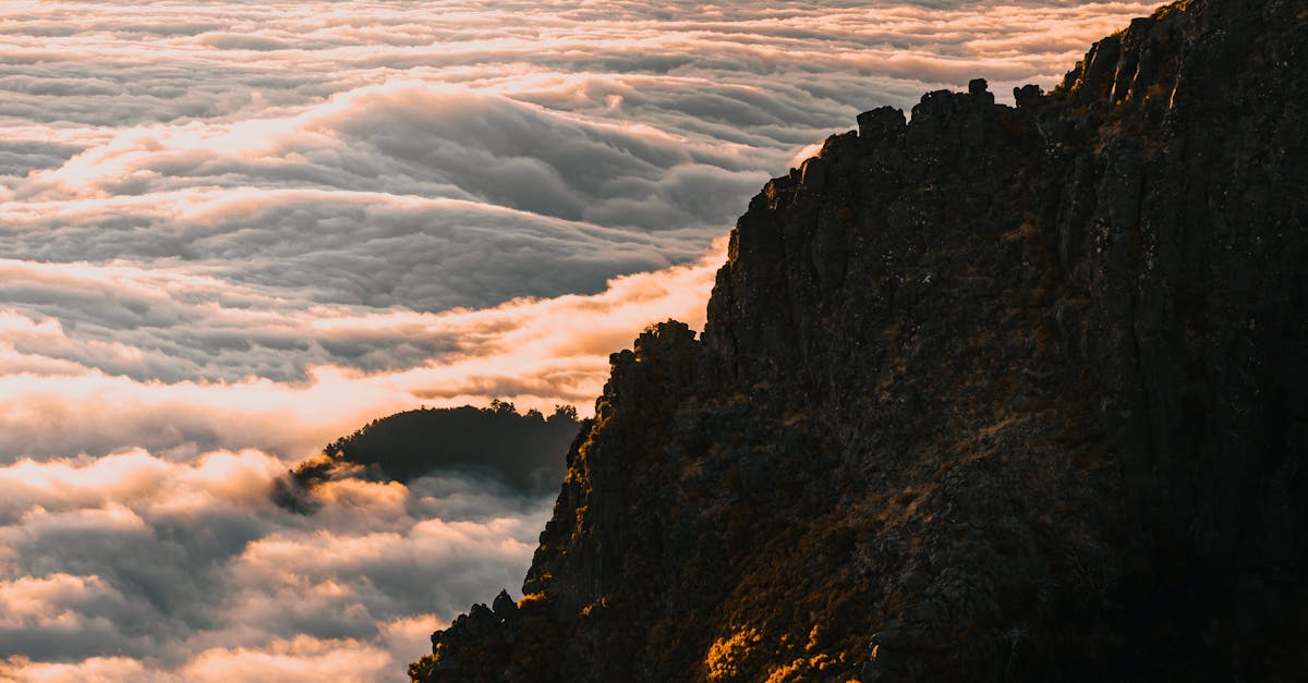 découvrez les meilleurs sentiers de randonnée à madère, une île paradisiaque offrant des paysages époustouflants, une nature préservée et des aventures pour tous les niveaux.