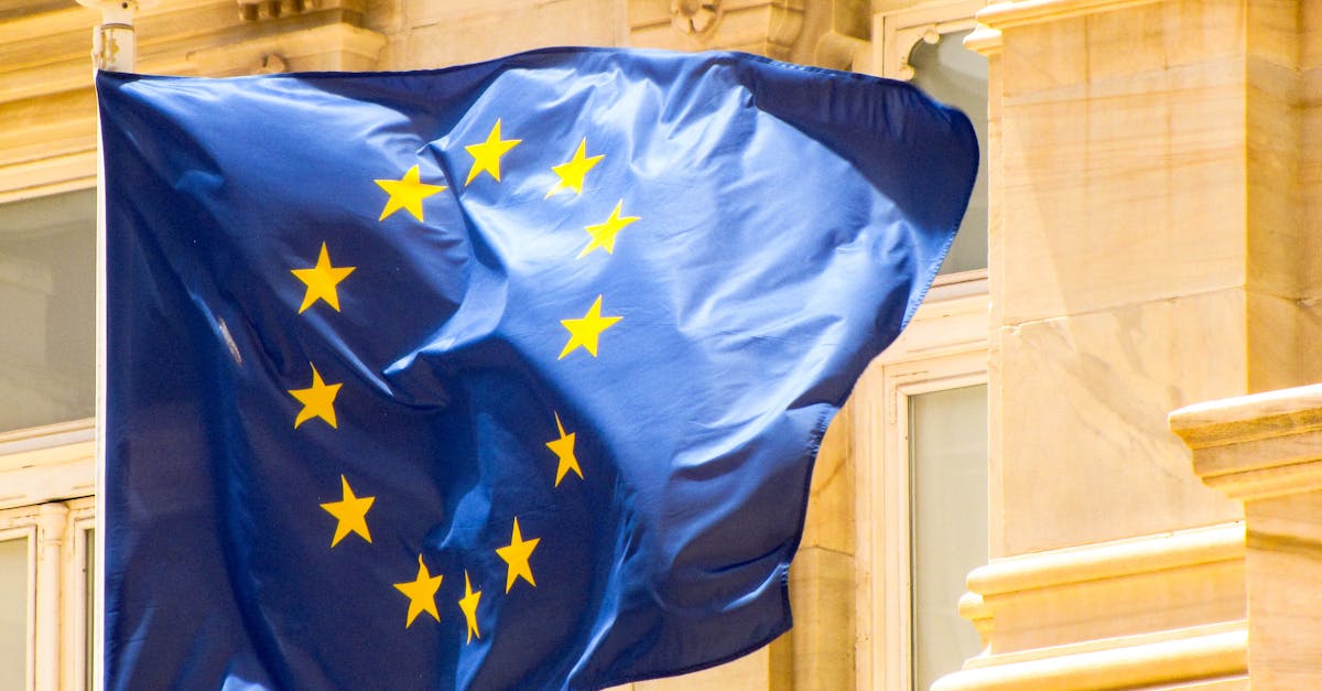 découvrez les réglementations européennes sur les labels végétariens, garantissant authenticité et transparence pour les consommateurs soucieux de leur alimentation.