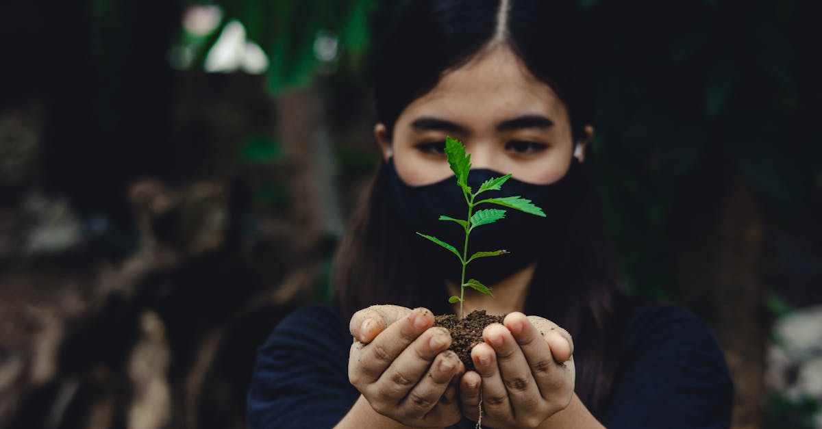découvrez les enjeux et les bonnes pratiques liées à l'esg (environnement, social, gouvernance) pour une entreprise responsable et durable.