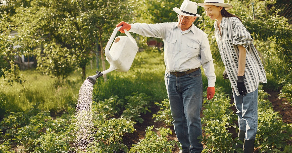 analyse de la dépendance de l'europe aux engrais : enjeux, impacts et perspectives pour une agriculture durable.