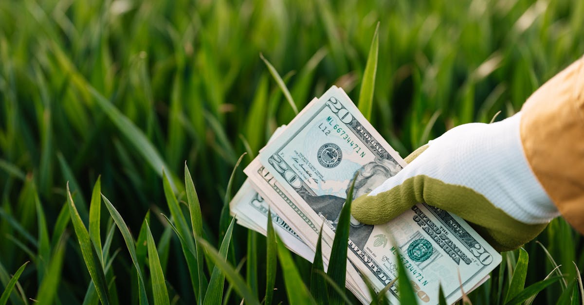 découvrez la finance durable : principes, avantages et solutions pour investir tout en respectant l'environnement et contribuant à une économie responsable.