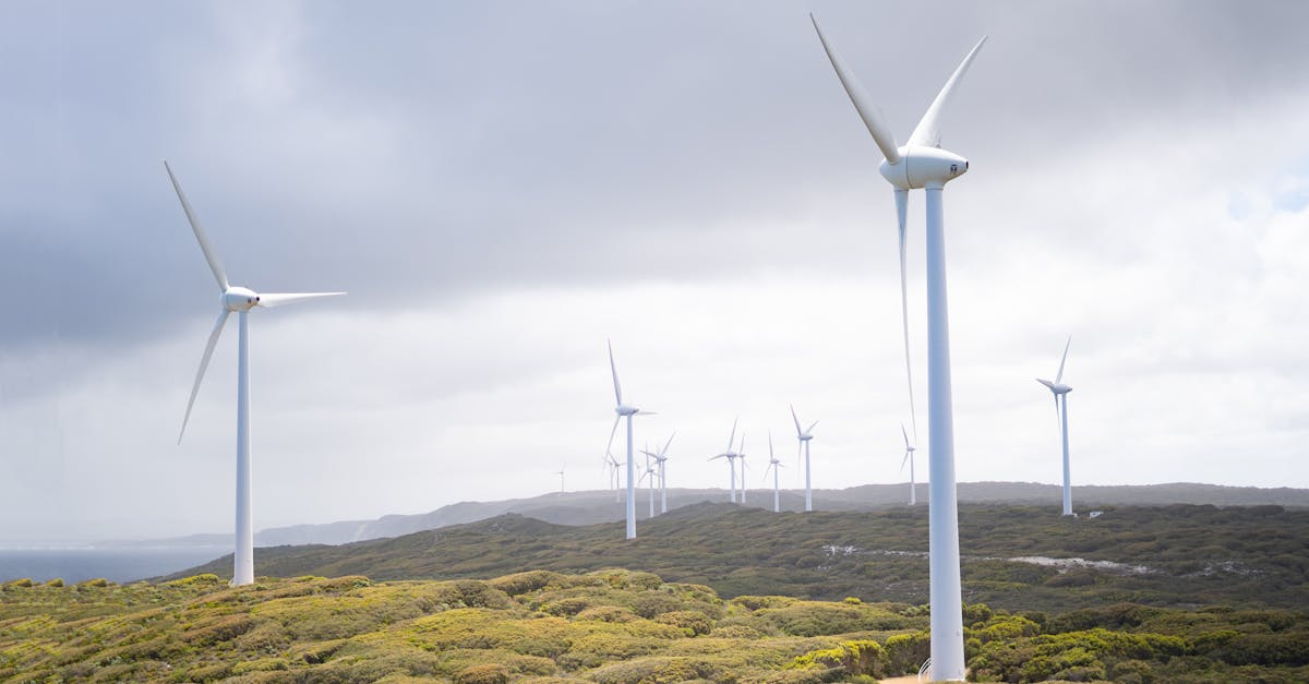 découvrez les dernières avancées en technologies durables, leurs avantages pour l’environnement et comment elles transforment notre quotidien vers un avenir plus responsable.