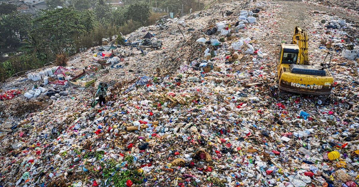 découvrez les enjeux de la pollution, ses impacts sur l'environnement et la santé, ainsi que les solutions pour réduire notre empreinte écologique et protéger notre planète.