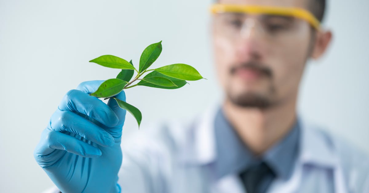 découvrez comment l'innovation verte transforme notre avenir grâce à des solutions durables et respectueuses de l'environnement. explorez des technologies révolutionnaires et des idées novatrices qui préservent notre planète tout en stimulant l'économie.