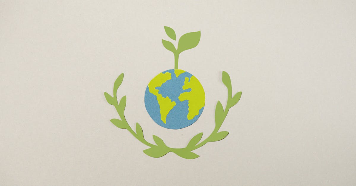 célébrez la journée mondiale du climat 2025 en sensibilisant aux enjeux environnementaux et en agissant pour un avenir durable et respectueux de la planète.
