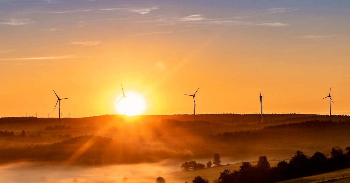 découvrez tout ce qu'il faut savoir sur l'énergie : sources, utilisation, innovations et impact environnemental pour un avenir durable.