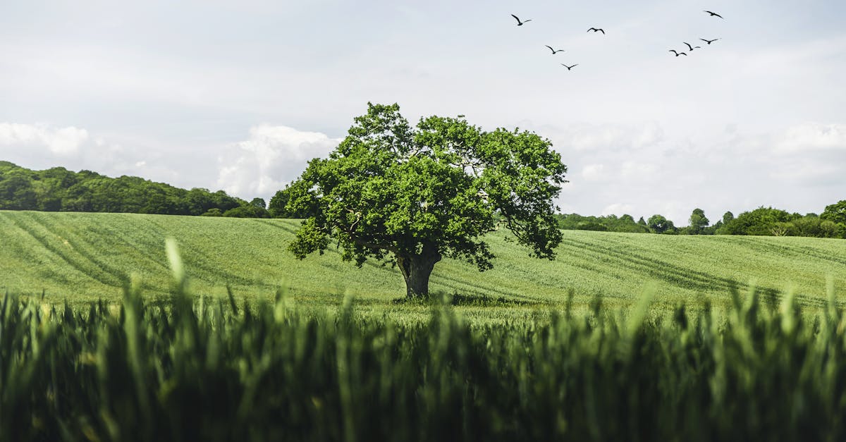 découvrez g7 environment, expert en solutions innovantes pour la protection et la gestion durable de l'environnement.