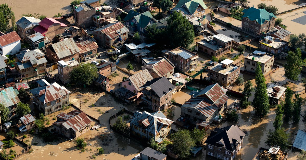découvrez comment renforcer la résilience climatique pour mieux anticiper, s'adapter et atténuer les impacts du changement climatique sur les communautés et l'environnement.