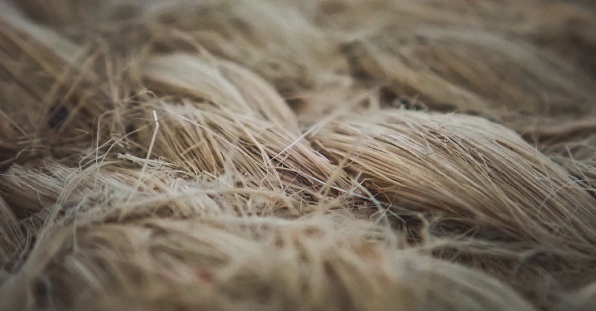découvrez l'eco-score textile, une mesure transparente de l'impact environnemental des produits textiles pour un choix durable et responsable.