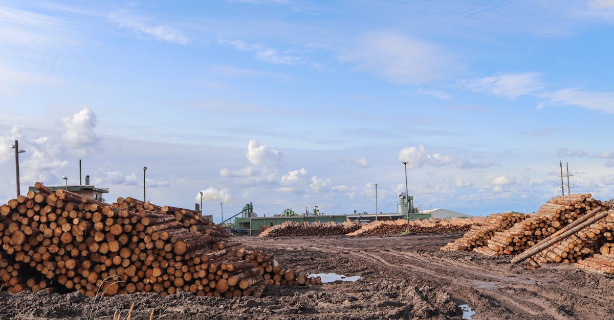 découvrez comment le management durable de la chaîne d'approvisionnement favorise la responsabilité environnementale, l'efficacité économique et les pratiques éthiques pour un avenir plus durable.