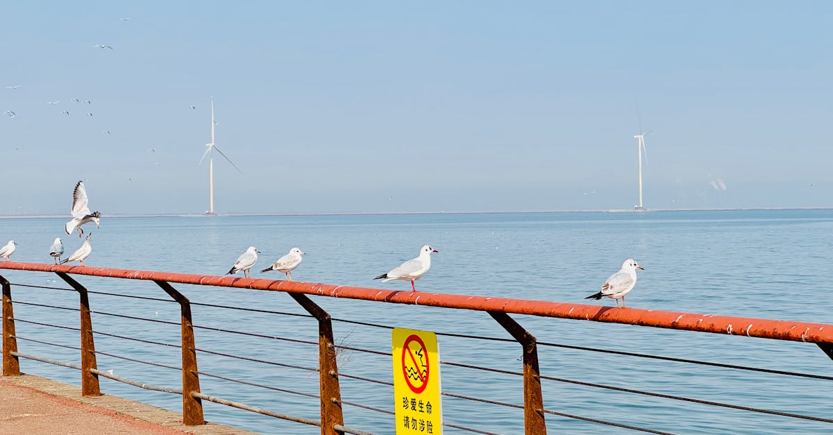 découvrez les technologies innovantes de conservation des océans qui protègent notre environnement marin. initiez-vous aux solutions durables pour préserver la biodiversité et lutter contre la pollution des mers.