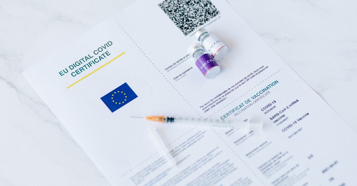 réglementation de l'ue sur les labels végétariens : normes et exigences pour garantir la transparence et l'authenticité des produits végétariens en europe.