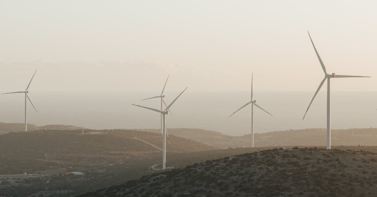 découvrez nos initiatives et conseils pour un développement durable et respectueux de l'environnement, afin de préserver la planète pour les générations futures.