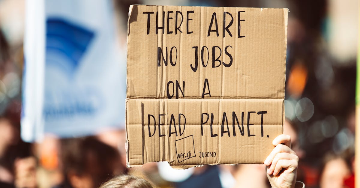 découvrez les dernières actualités, analyses et solutions sur le climat : causes du changement climatique, conséquences sur notre planète et initiatives pour préserver l'environnement.