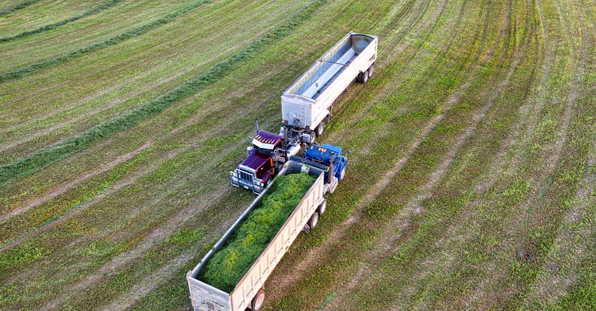 découvrez nos solutions professionnelles de forage et production pour optimiser vos projets industriels et énergétiques avec efficacité et sécurité.