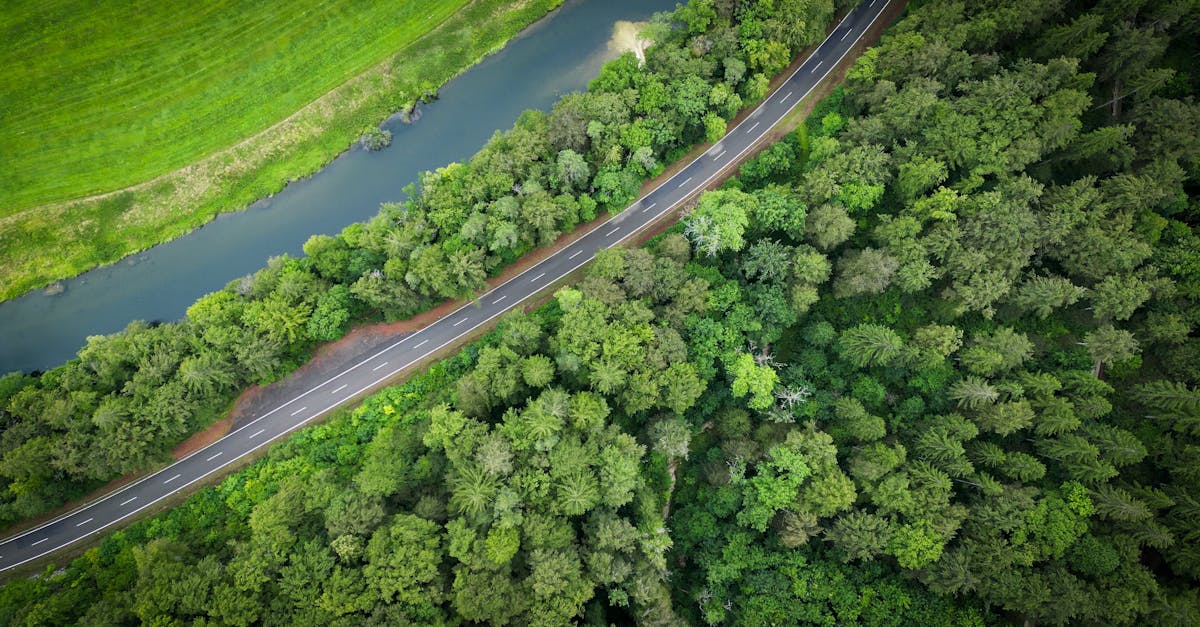 agence spécialisée dans la transition écologique, accompagnant les entreprises et collectivités vers des solutions durables et respectueuses de l'environnement.