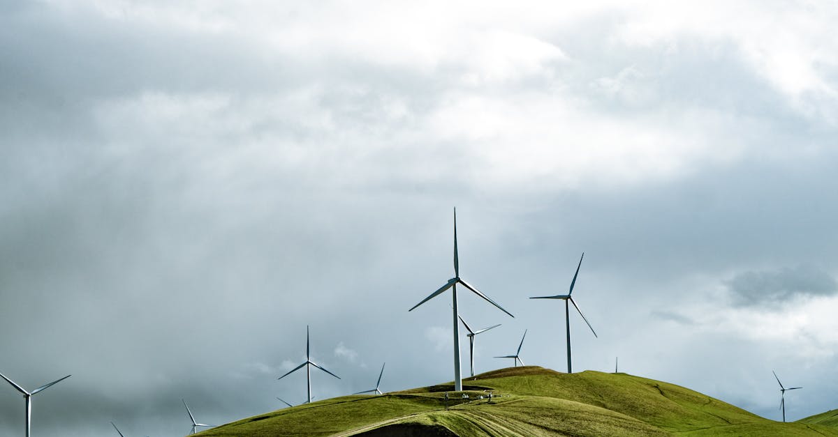découvrez les avantages des énergies renouvelables, des solutions durables pour un avenir écologique et respectueux de l'environnement.