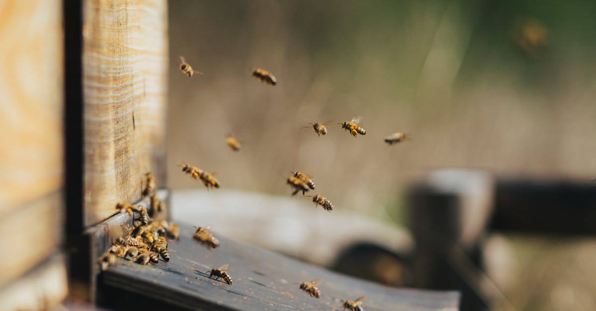 découvrez nos solutions de forage pour la production optimale de ressources naturelles, alliant technologie avancée et expertise technique pour maximiser vos rendements.