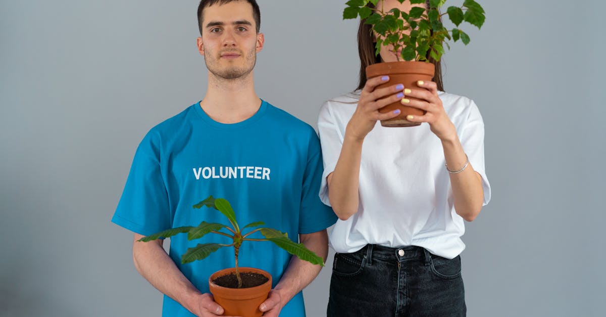 découvrez comment la coopération internationale sur le climat favorise des solutions durables, réduit les émissions et construit un avenir plus vert pour tous.