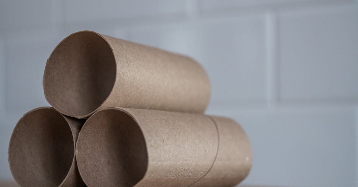 découvrez comment adopter une consommation durable au quotidien. apprenez des astuces pour réduire votre empreinte écologique, privilégier les produits responsables et participer à la protection de notre planète tout en faisant des choix éclairés.