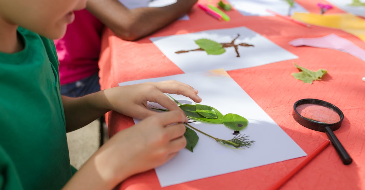 découvrez l'importance de l'éducation environnementale pour sensibiliser et former les générations futures à la protection de notre planète. apprenez comment intégrer des pratiques durables et promouvoir une conscience écologique dans votre quotidien.